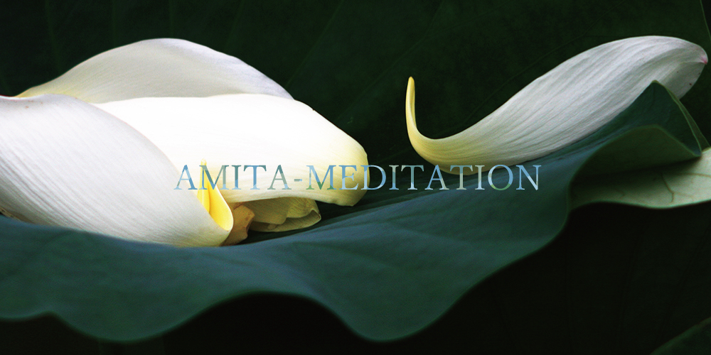 AMITA-MEDITATION